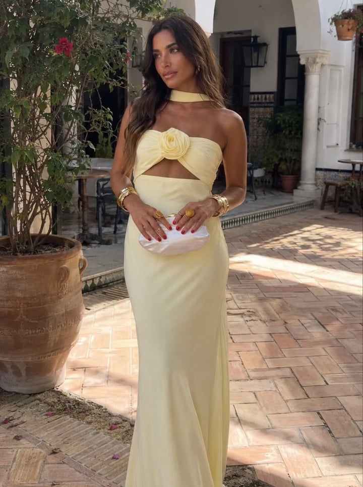 Maxi dress with backless design and pink bodice